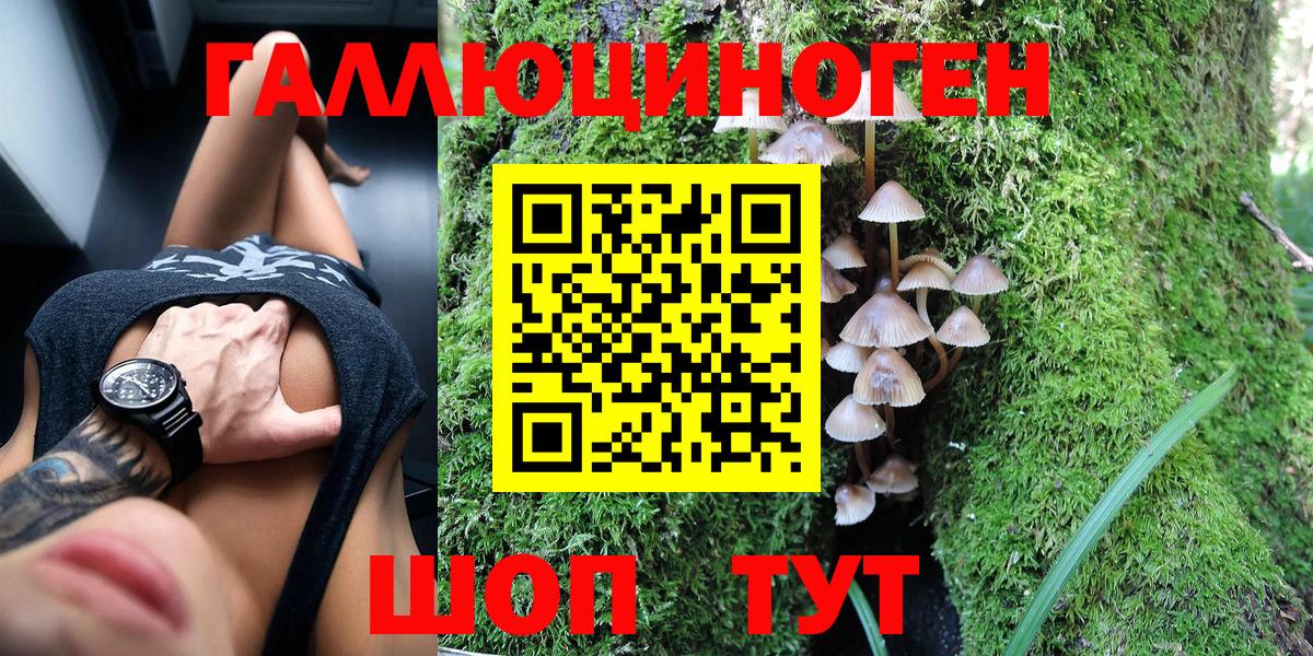 Галлюциногенные грибы мицелий  Вход с VPN  наркошоп  Алексеевка 