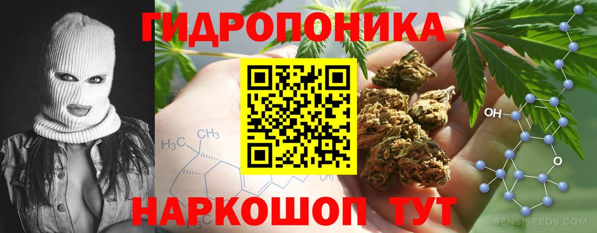 Канабис конопля  Бошки марихуана семена  Шишки марихуана тримм  Каннабис OG Kush  Алексеевка  Вход с VPN 